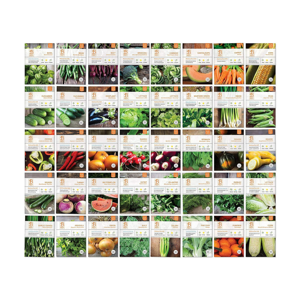 Vegetable and Herb Seeds Variety Pack for Home Garden Planting, AB