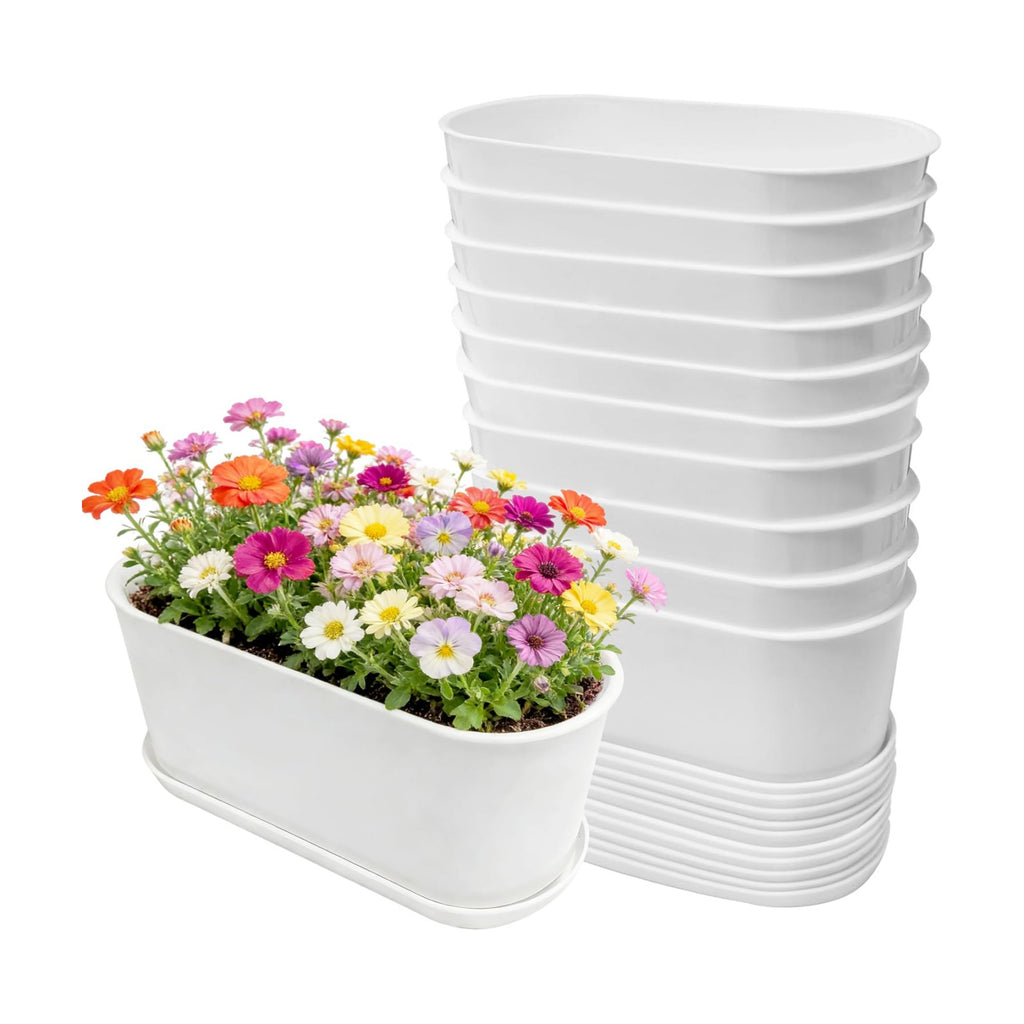 10-Pack White Herb Planter Box with Drip Trays, 8.5 Inch Small Oval Window Planters for Kitchen Sill, Indoor Outdoor