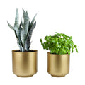 Vixdonos Large Gold Planters Metal Aloe Brass-Tone Plant Pots Indoor Decorative Flower Pots with Drain Holes(8+7.1Inch)