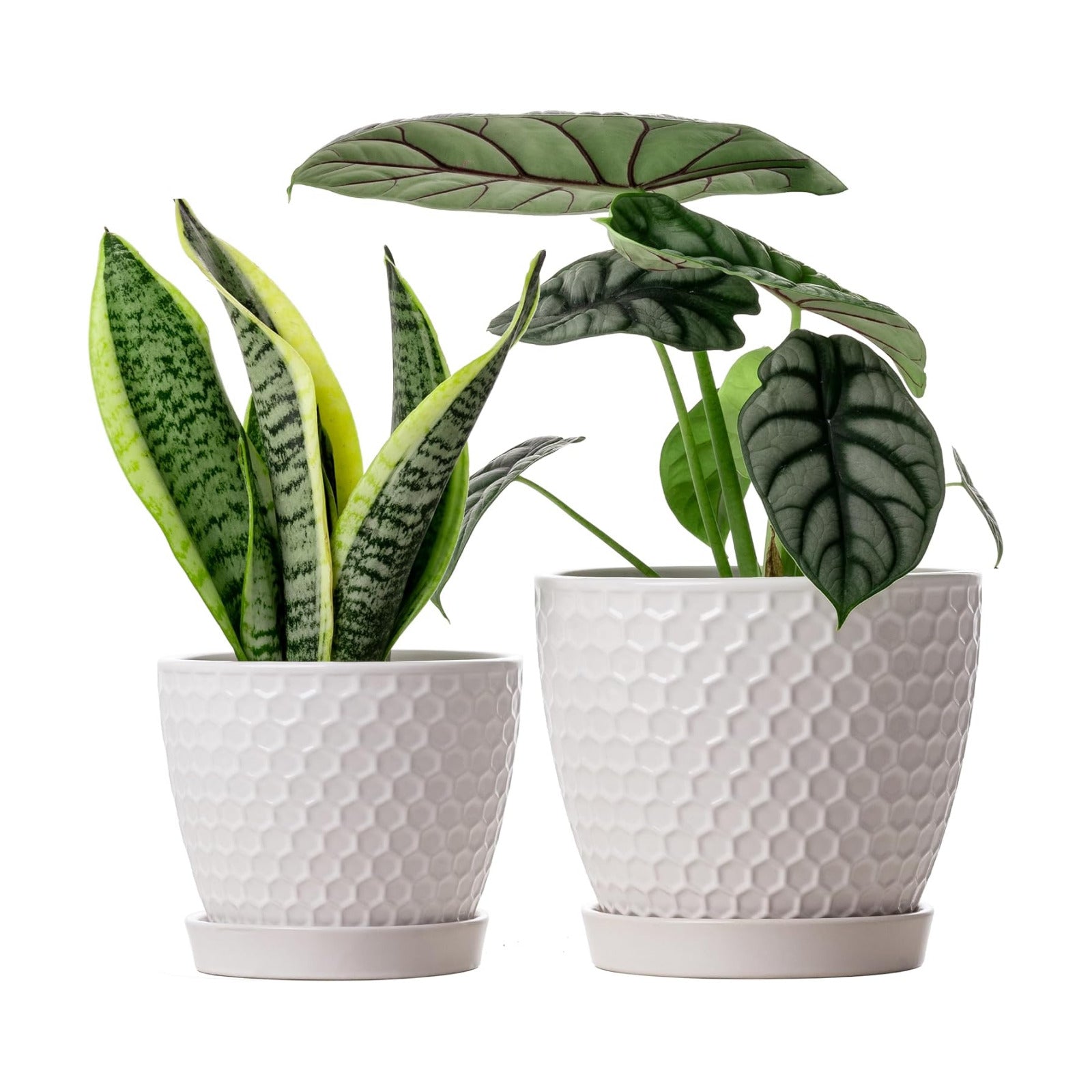 Docrin Ceramic Plant Pots Set of 2 (6.6"+5.5"), High-Fired Clay Indoor Planters with Drainage Holes & Saucer, Honeycomb