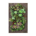 Modern Home Living Wall Galvanized Steel/Zinc Succulent Planter, Wall Mounted Garden Pocket Planter (18 Pocket, Rust