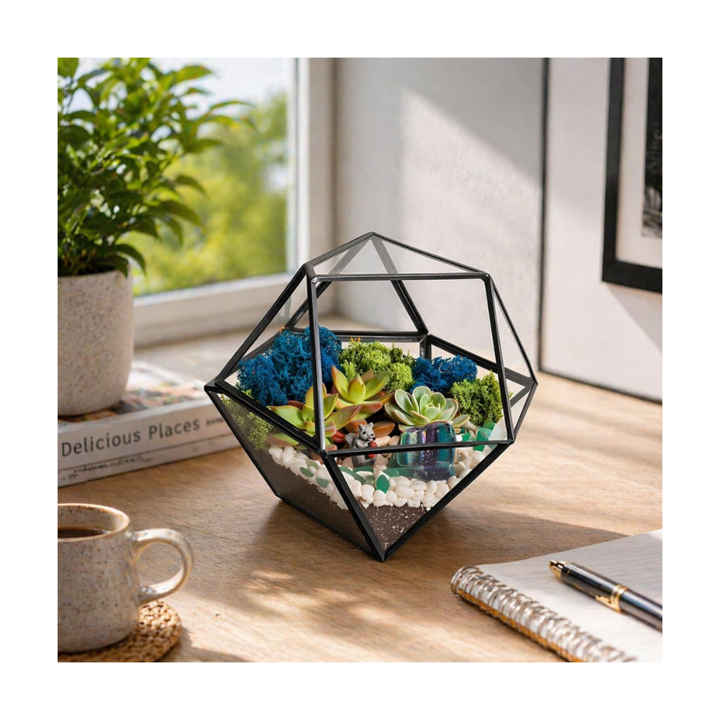 Creations by Nathalie DIY 7" Chalice Glass Terrarium Kit with Moss & Tools | DIY geometric glass terrarium kit with