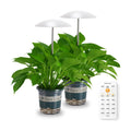Smart LED Grow Light for Indoor Plants, Programmable Timer and Dim | Daily Auto On/Off Timer, Height Adjustable