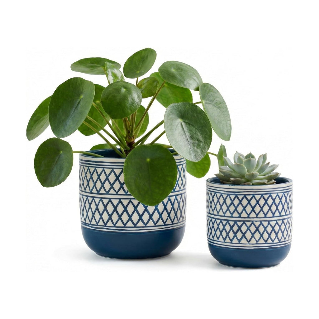 HERDUK Decorative Ceramic Flower Pots Set of 2 – 6 & 4.7 Inch Indoor Plant Pots, Boho Decorative Pots for Plants