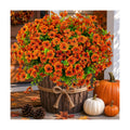 AXYLEX Artificial Mums for Outdoors Fake Fall Flowers Red Orange 16 Pack