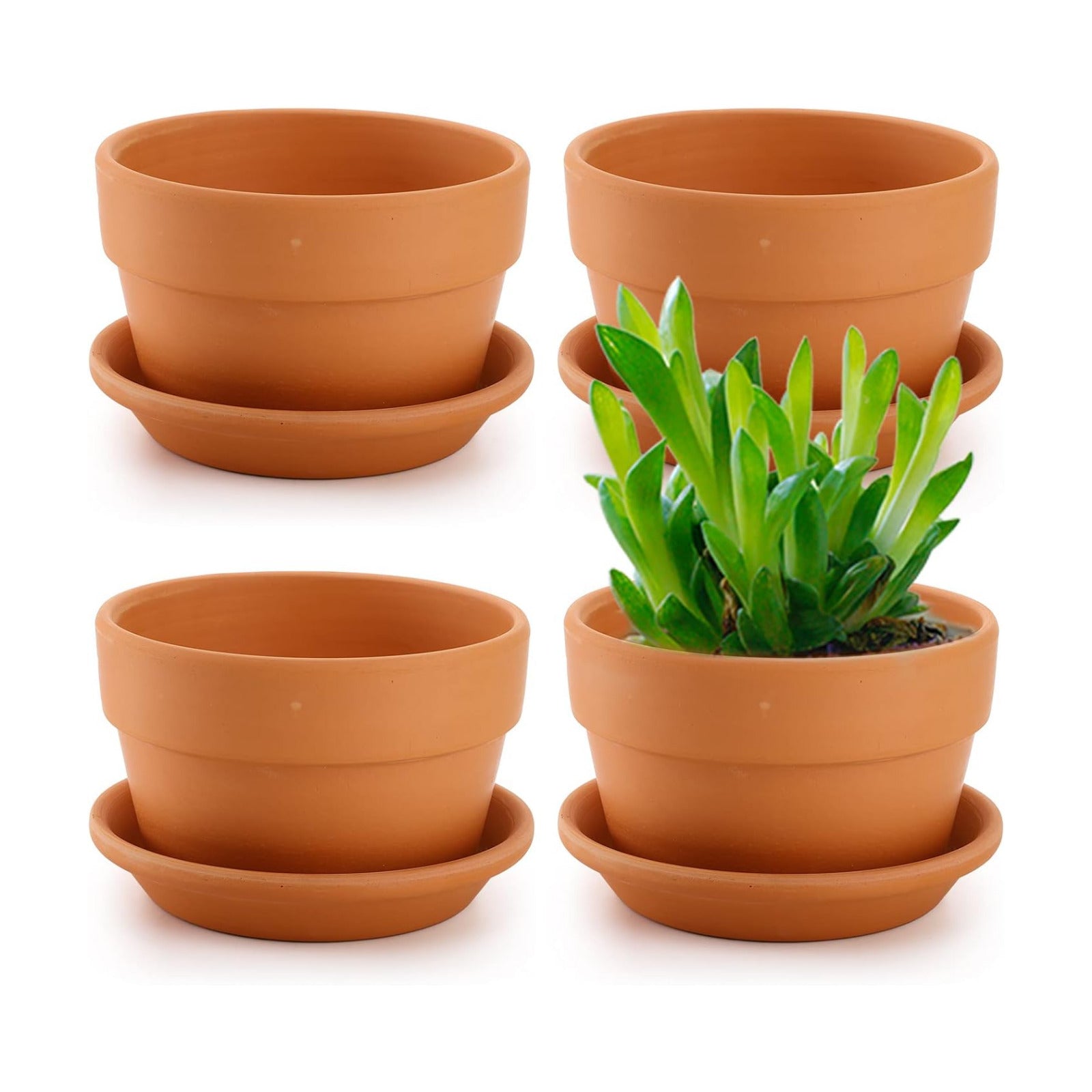 4 Pack Terracotta Pots with Saucer, 6 Inch Large Terra Cotta Plant Pot with Drainage Hole, Clay Flower Planter Pot with