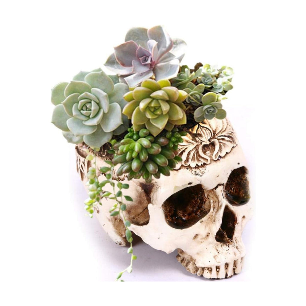 Simcat Skull Planter, Gothic Plant Pot Handcrafted Vintage Design