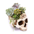 Simcat Skull Planter, Gothic Plant Pot Handcrafted Vintage Design