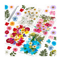 Evatage 153 Pcs Real Dried Pressed Flowers for Resin Crafts