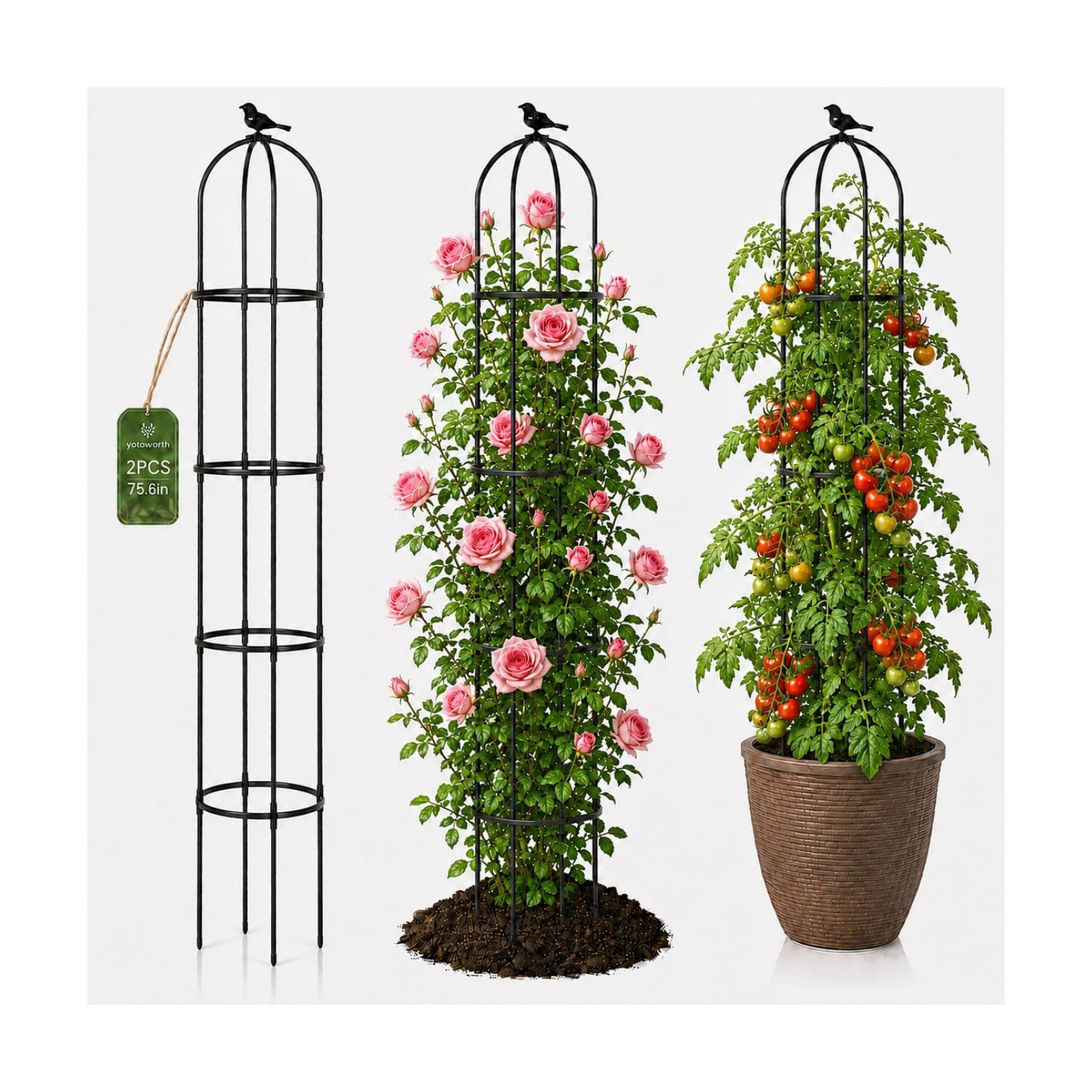 Garden Obelisk Trellis for Climbing Plants,6.3 ft, Black, 2PC | Outdoor Rose Trellis, Indoor Support for Potted Light