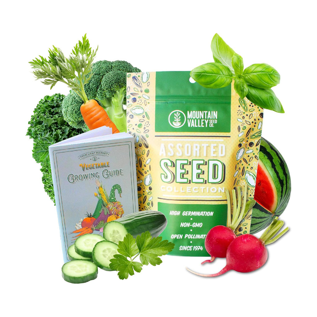 Mountain Valley Seed Co 10 Assorted Organic Vegetable Seeds for Planting | ~3,200 + Heirloom Non-GMO Fruit Seeds, Herb