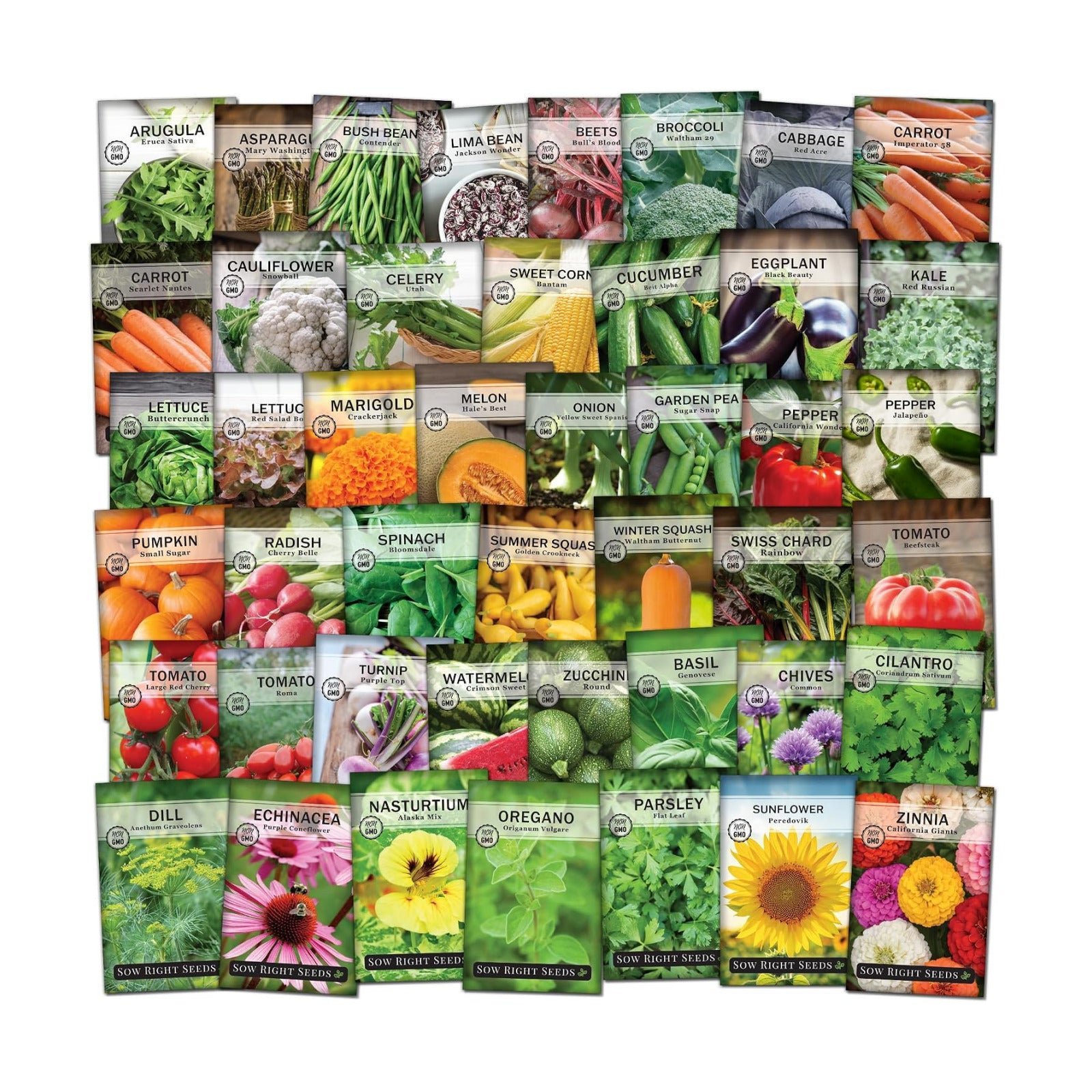 Sow Right Seeds - Complete Garden Seed Collection for Planting at Home | Includes vegetables, herbs, and flowers. Plant