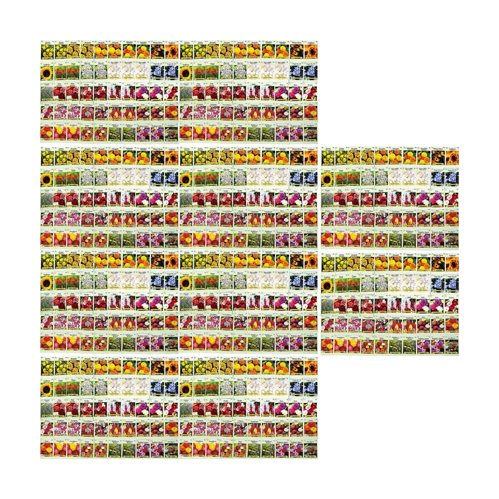 Set of 500 Flower Seed Packets - Flower Seeds in Bulk - 15 or More Varieties Available - Great for Creating Colorful