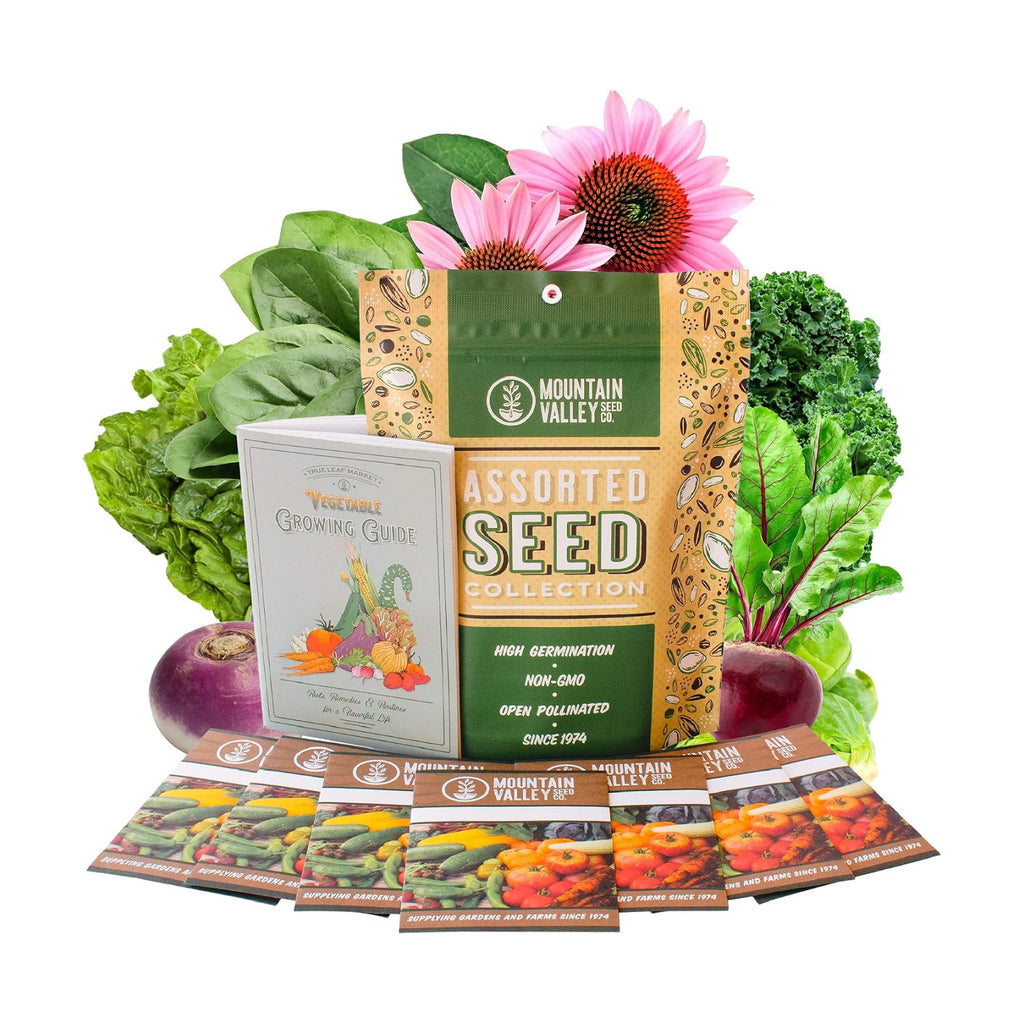 Mountain Valley Seed Co Fall Garden Heirloom Vegetable Seed ~3,800+ Seeds | 7 Varieties of Seeds to Sow in Fall Months