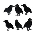 Dazzle Bright 6Pack Halloween Black Feathered Crows Decor, Holiday Decoration for Indoor Outdoor Home Yard Garden Party Carnival Supplies