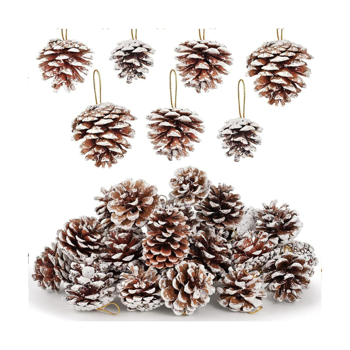 JOHOUSE 24 PCS Snow, Dusted Natural Pine Cones with Gold String, 2-2.5in