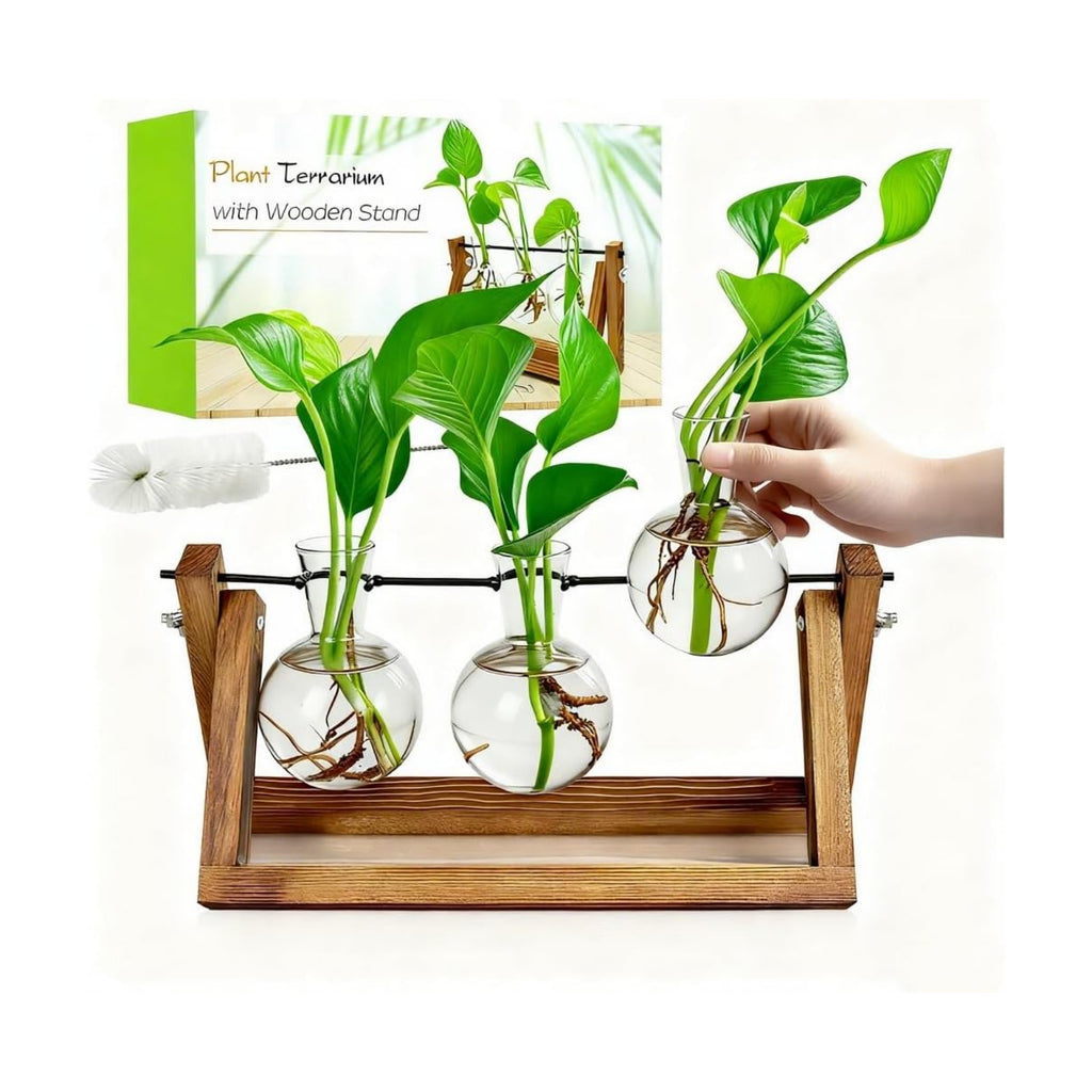 Renmxj Plant Propagation Station, Plant Terrarium with Wooden Stand