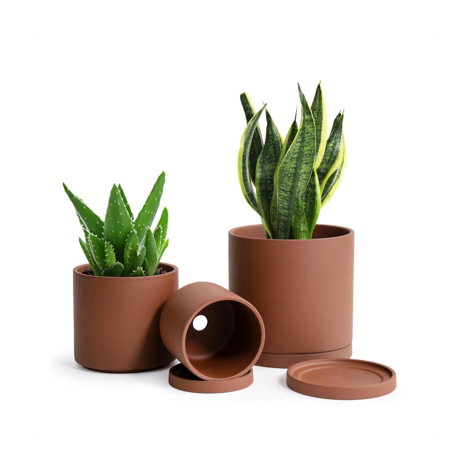 D'vine Dev 3-Pack Rust Terracotta Pots & Saucers, 4/5/6 in, 40-T-A-3 | Cylinder Shape, Timeless Style, Unglazed