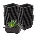 SEUNMUK 30 PCS 6.5 Inch Plastic Bonsai Training Pots, Thicken Rectangular Plastic Growing Pots, Flower Succulent Pots