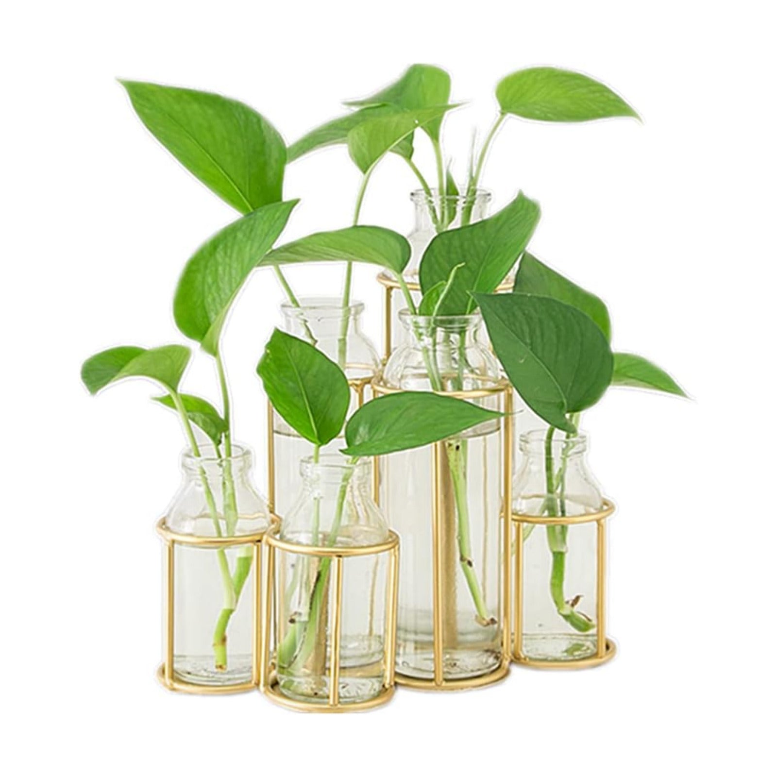 Flower Vases with 6 Bottle Crystal Clear Glass Flower Vase with Metal Stand Propagation Station Plant Display Holder