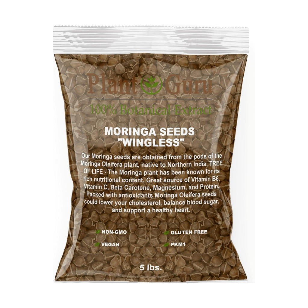 Moringa Seeds Wingless 5 lbs. Bulk - PKM1 Variety - Edible Snacking - Planting - Moringa Oleifera - Malunggay