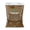 Moringa Seeds Wingless 5 lbs. Bulk - PKM1 Variety - Edible Snacking - Planting - Moringa Oleifera - Malunggay