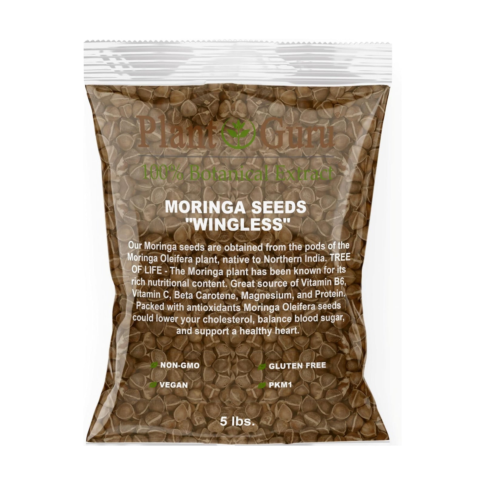 Moringa Seeds Wingless 5 lbs. Bulk - PKM1 Variety - Edible Snacking - Planting - Moringa Oleifera - Malunggay