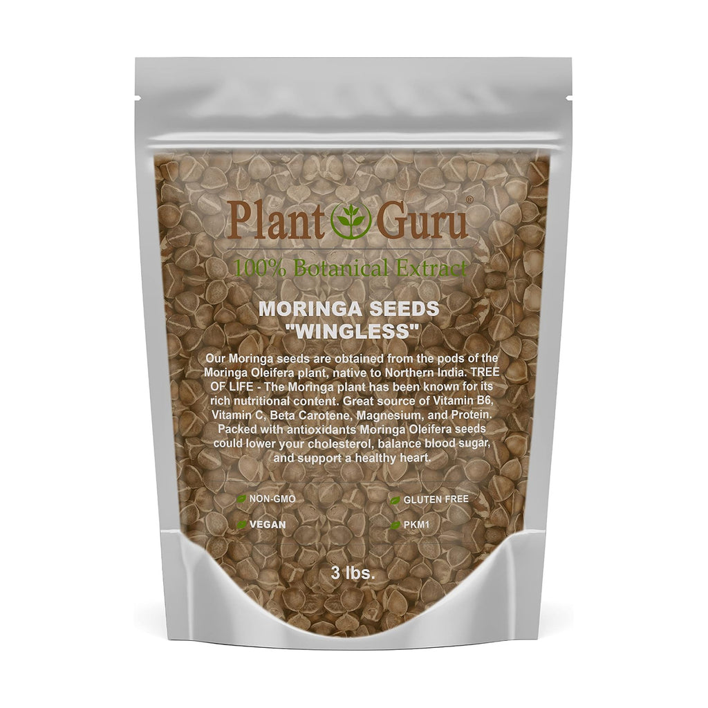 Moringa Seeds Wingless 3 lbs. - PKM1 Variety - Edible Snacking - Planting - Moringa Oleifera - Malunggay - Semillas De