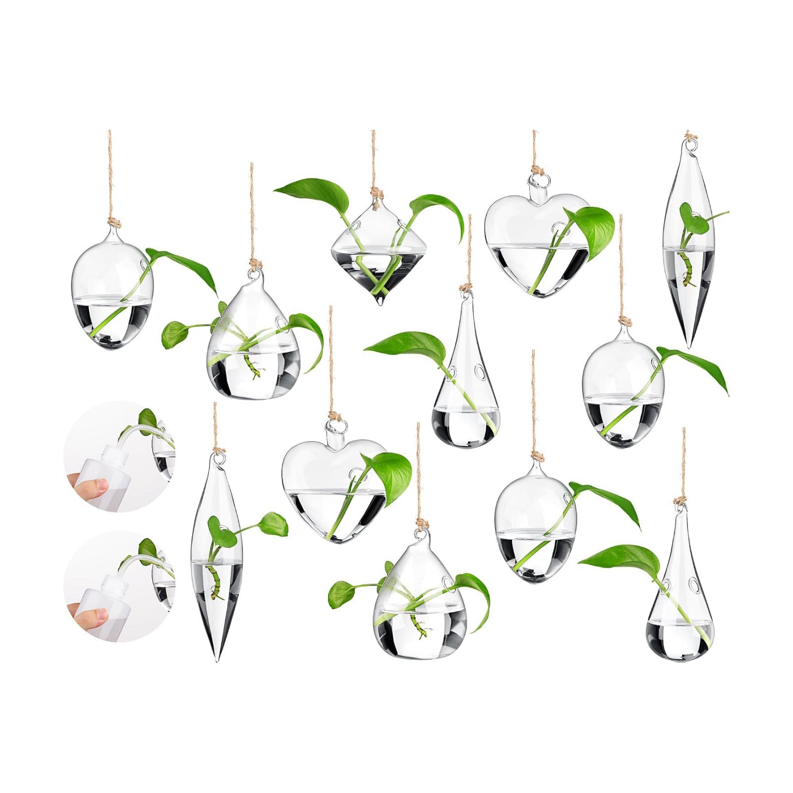 Zopeal 6 Set Wall Hanging Glass Planter Terrarium Propagation Station Vase Container Watering Squeeze Bottle with Rope