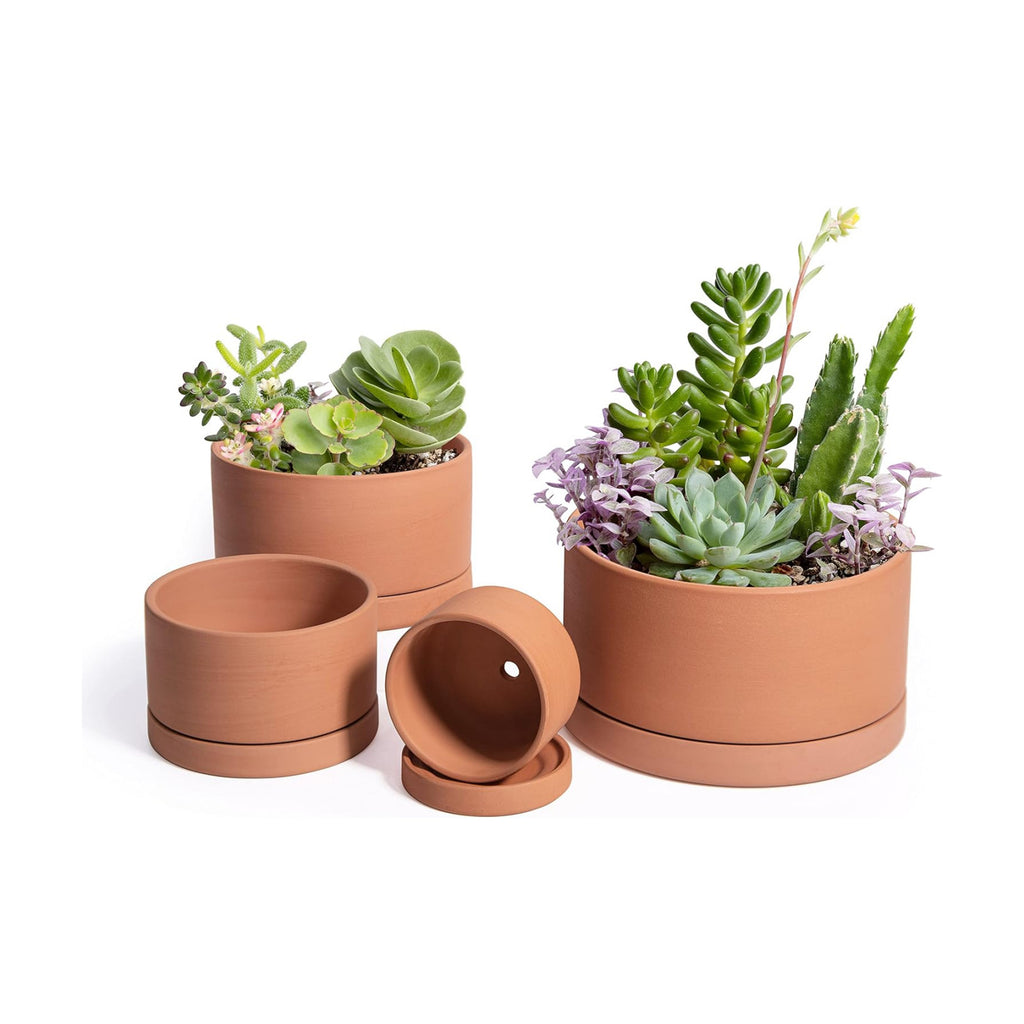D'vine Dev Set of 4 Terracotta Shallow Planter Pots for Succulent, 3 Inch 4 Inch 5 Inch 6 Inch, Small Flower Plant Pots