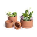 D'vine Dev Set of 4 Terracotta Shallow Planter Pots for Succulent, 3 Inch 4 Inch 5 Inch 6 Inch, Small Flower Plant Pots