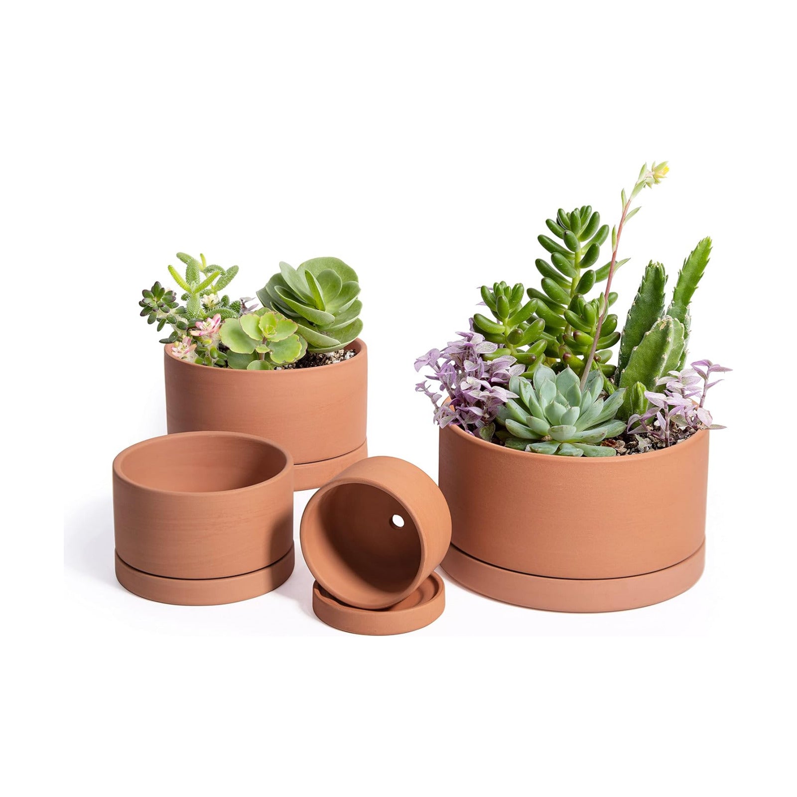 D'vine Dev Set of 4 Terracotta Shallow Planter Pots for Succulent, 3 Inch 4 Inch 5 Inch 6 Inch, Small Flower Plant Pots