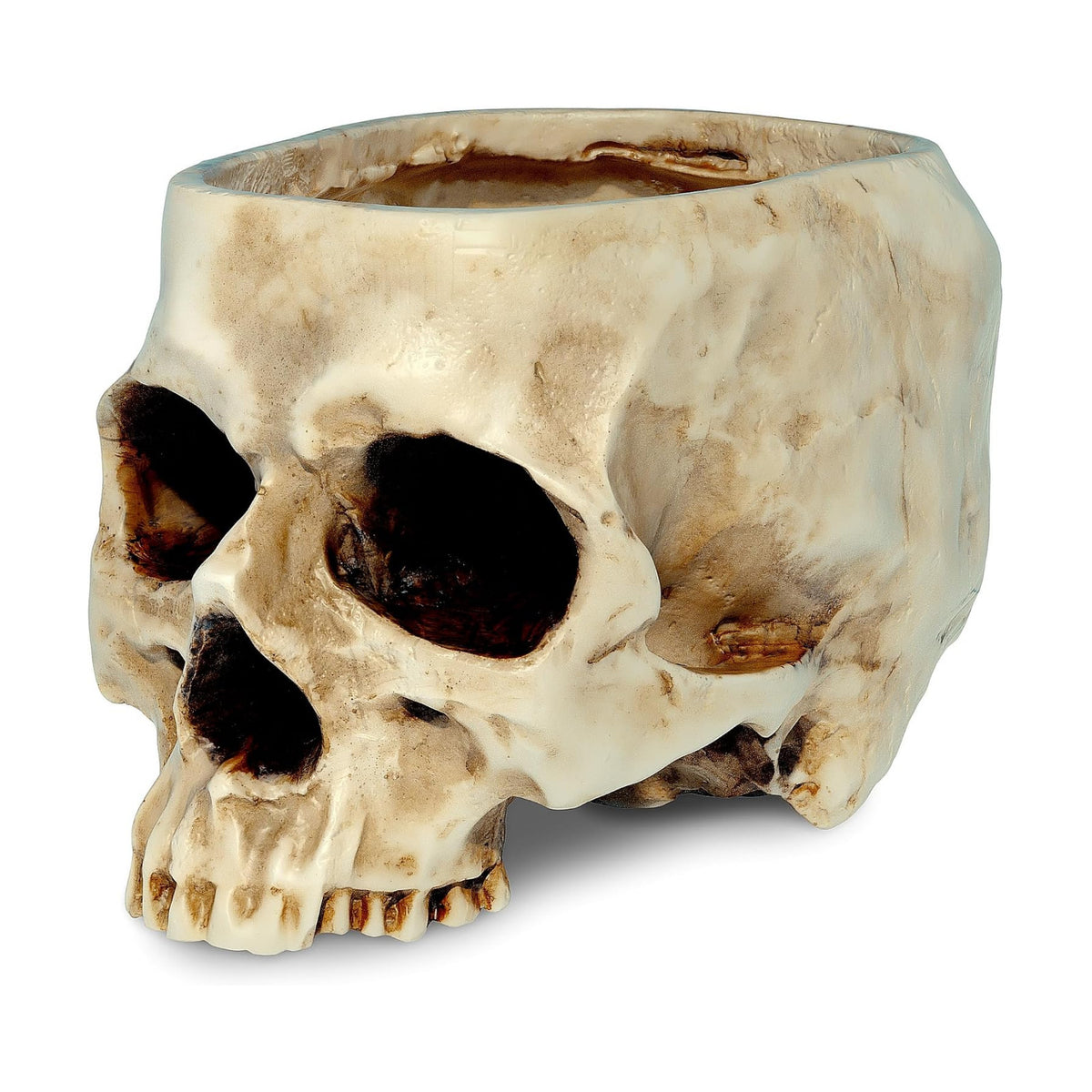 READAEER Skull Planter with Drain Hole, Resin Skull Shaped Flower Pot Candy Bowl, Gothic Decoration for Home Office Desk- White