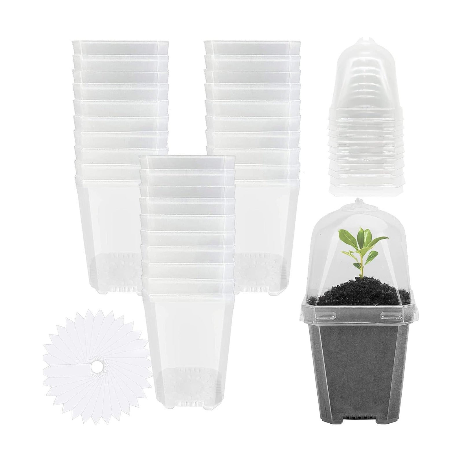 EBaokuup 30PCS Clear Plant Nursery Pots with Humidity Dome - 3" Durable Plastic Gardening Pot, Small Plant Container