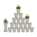 3 Inch Grey Terracotta & Clay Pot with Drainage, 20 Pack | Clay Flowerpot, Nursery pot for succulents, cactus, herbs