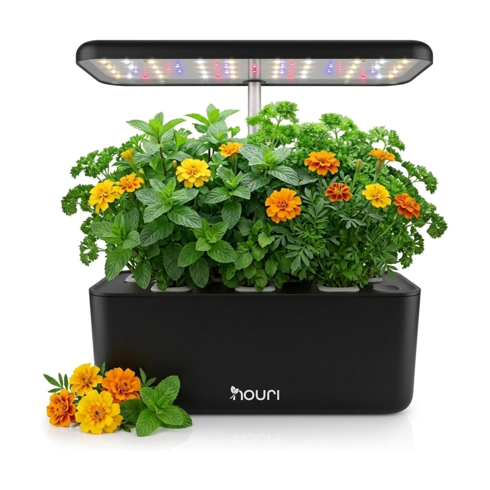 Nouri Hydroponics Growing System, 7 pod Smart Indoor Herb Garden Kit with LED Grow Lights, Hydroponic Herb Garden