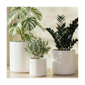 LE TAUCI 10+8+6 Inch Ceramic Pots for Plants, Indoor Planters with Drainage Hole and Plug, Modern Cylinder Flower Pots