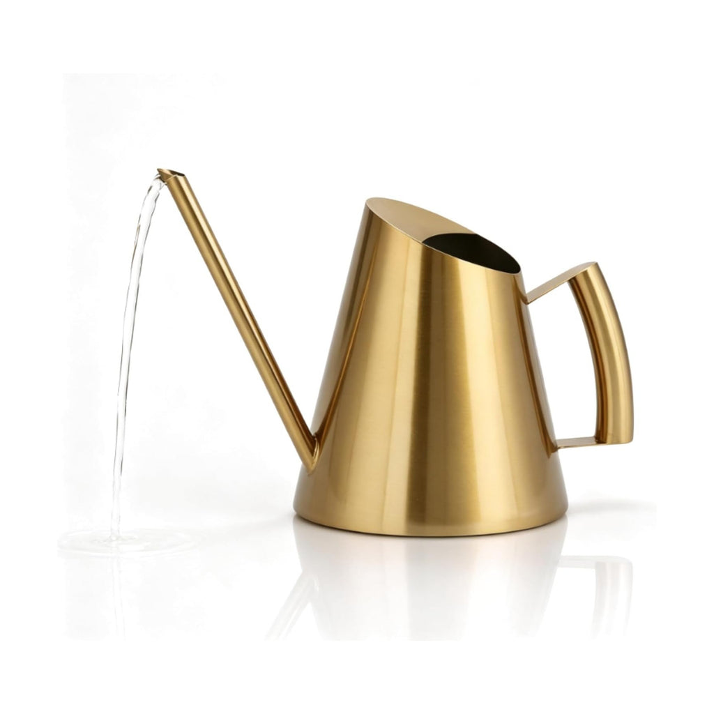 Watering Can for Indoor Plants, 13.5 Oz/400 Ml Indoor Plant Watering Can Stainless Steel Small Water Cans with Long