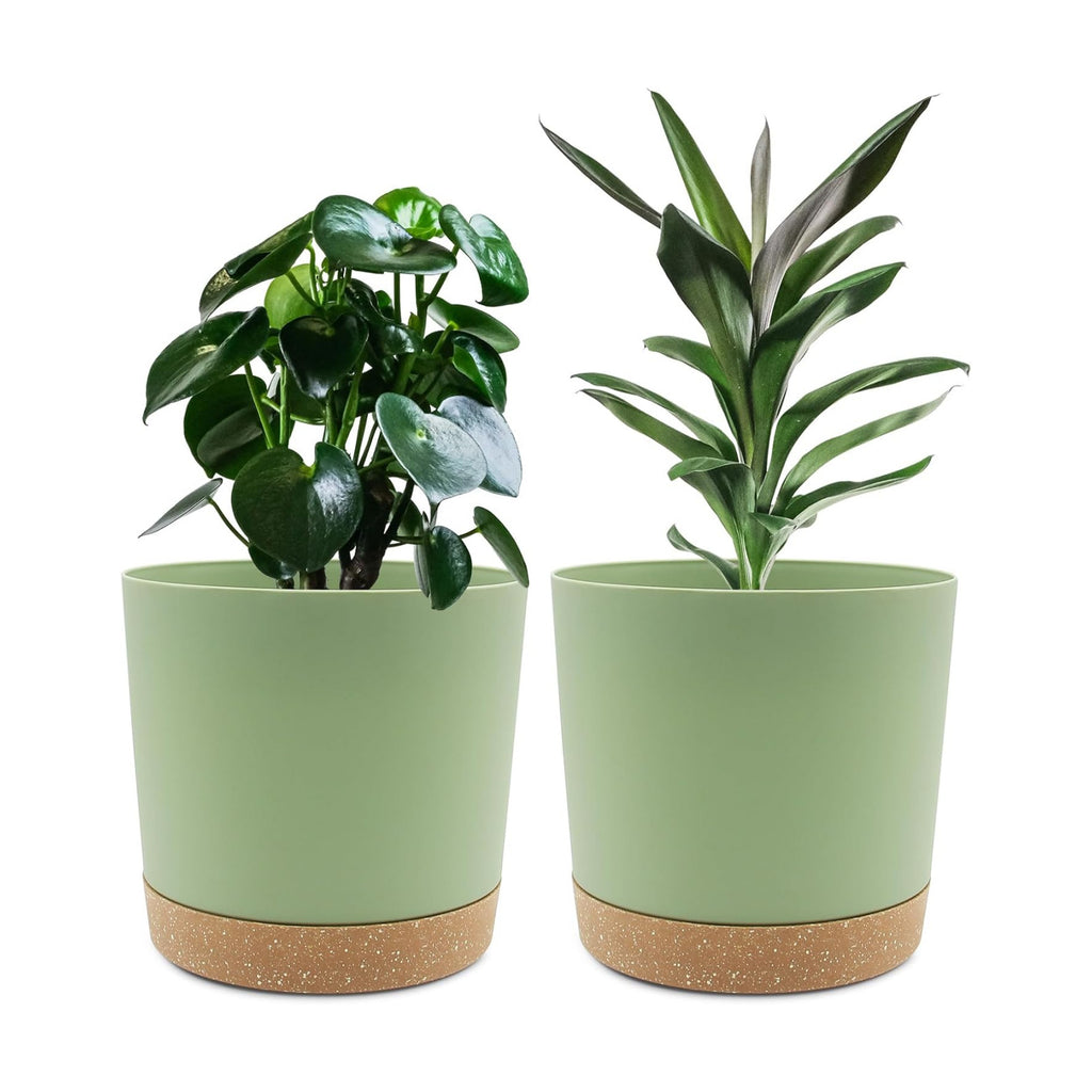 QCQHDU 8 inch Plant Pot, 2 Pack Planters for Indoor Plants with Drainage Holes & Saucer, Outdoor Flower Pots Home Garden Modern Decor