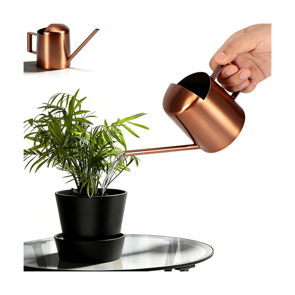 10oz/300ml Watering Can Indoor Plants, Long Spout Small Watering Sprinkling Pot Mini Stainless Steel Water Can Garden
