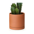 D'vine Dev Terracotta Plant Pot with Saucer, 6 Inch, 40-X-A-3 | Cylinder Shape, Timeless Style, Unglazed Terracotta