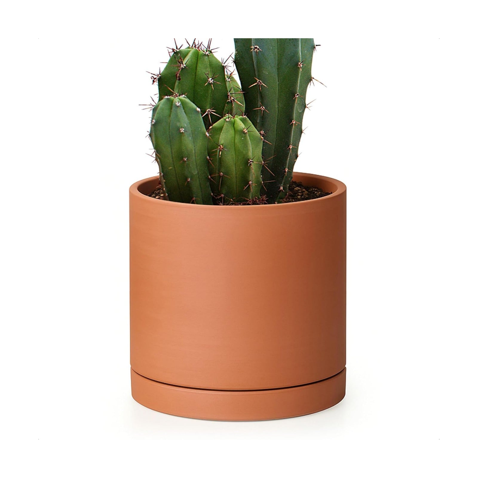 D'vine Dev Terracotta Plant Pot with Saucer, 6 Inch, 40-X-A-3 | Cylinder Shape, Timeless Style, Unglazed Terracotta