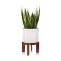 Gendral Forwepup Wood Plant Stand, Mid Century Modern Planter, Rattan Flower Pot Stand, Low Short Plant Stands for Indoor - Boho Rustic Wooden Stool for Plant Pot Holder, Fit 5-15 Inch Pot