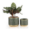 6 +4.4 Inch Cement Planter Decorative Pots with Drainage Hole for All House Plants, Succulents, Flowers, and Cactus