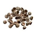 SM SunniMix 100x Natural Acorns Real Rustic Acorns Caps Decorative Vase Fillers Home DIY Thanksgiving Christmas Kitchen Autumn Table Scatter Photo Props Decors - Natural Acorn Caps