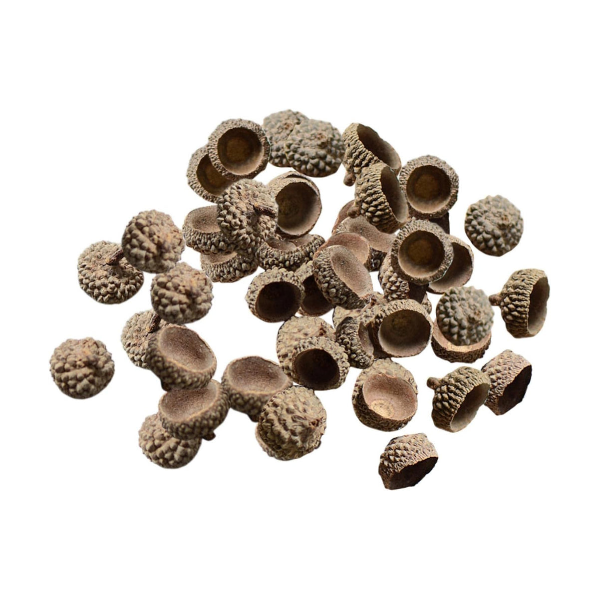 SM SunniMix 100x Natural Acorns Real Rustic Acorns Caps Decorative Vase Fillers Home DIY Thanksgiving Christmas Kitchen Autumn Table Scatter Photo Props Decors - Natural Acorn Caps