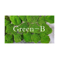 Preserved Pole Moss Pillow Bun Cushion Natural Green Decorative Real Natural Green DIY Kit Terrariums Gardenning Art