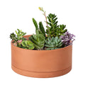 D'vine Dev Terracotta Shallow Planter Pot with Saucer, 10 in, 40-Y-B-0 | Wide Bowl Design, Unglazed Terracotta, Porous