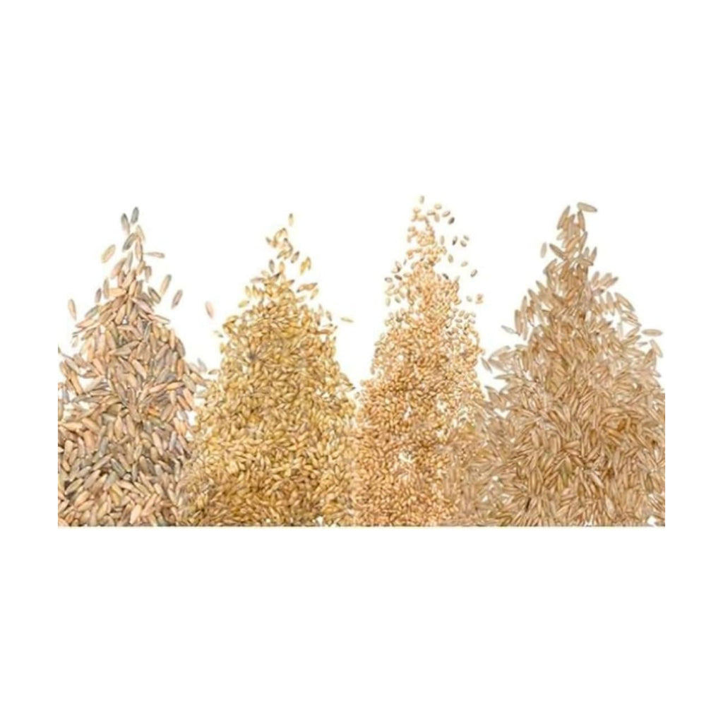 Cat Grass Seeds for Growing | 4 Way Blend, Rye, Wheat, Oats and Barley | Made in USA, Ships from Iowa. (10 Pounds)