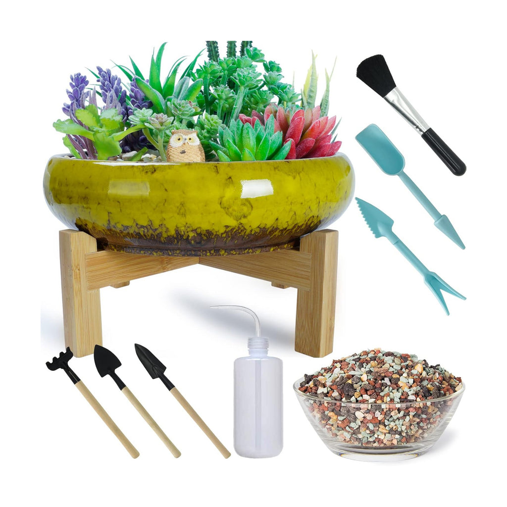 ARTKETTY Ceramic Succulent Planter, 10 inch with Stand, 2.2lb Lava Rock Pebbles, Planting Tools - Indoor Plants